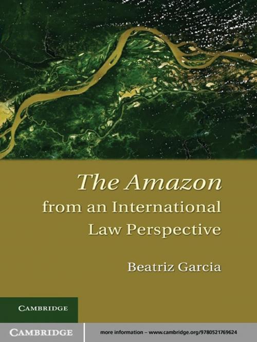 Cover of the book The Amazon from an International Law Perspective by Beatriz Garcia, Cambridge University Press
