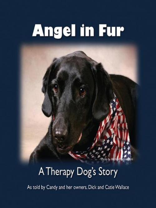 Cover of the book Angel in Fur by Wallace, Dick & Catie, Infinity Publishing