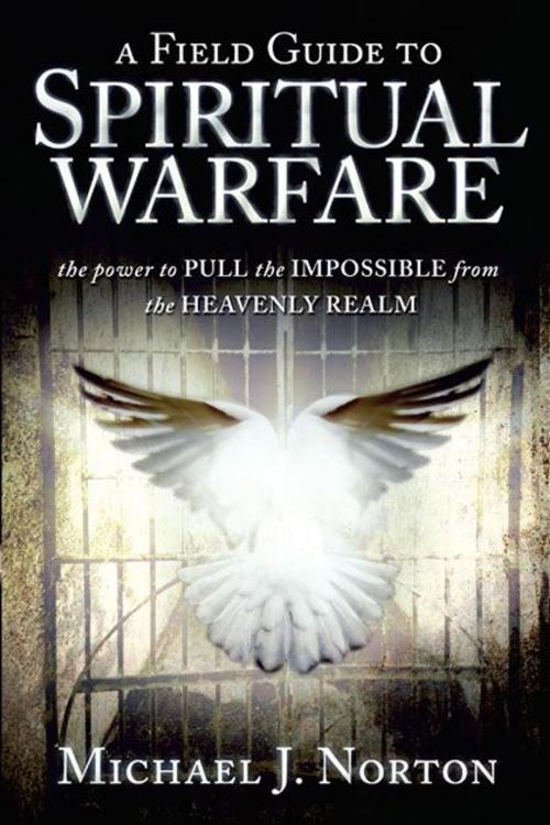 Cover of the book Field Guide to Spiritual Warfare: Pull the Impossible by Michael J. Norton, Destiny Image, Inc.