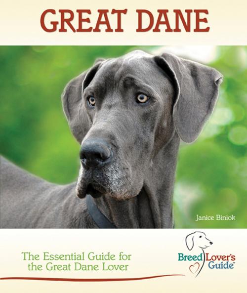Cover of the book Great Dane by Janice Biniok, TFH Publications, Inc.