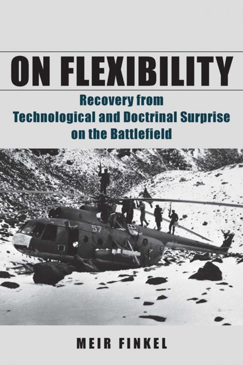 Cover of the book On Flexibility by Meir Finkel, Stanford University Press