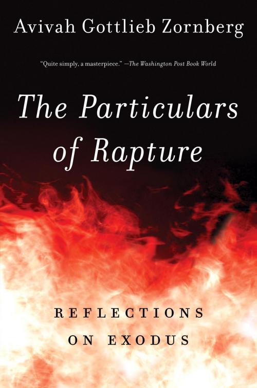 Cover of the book The Particulars of Rapture by Avivah Gottlieb Zornberg, Knopf Doubleday Publishing Group