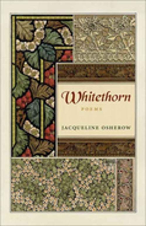 Cover of the book Whitethorn by Jacqueline Osherow, LSU Press