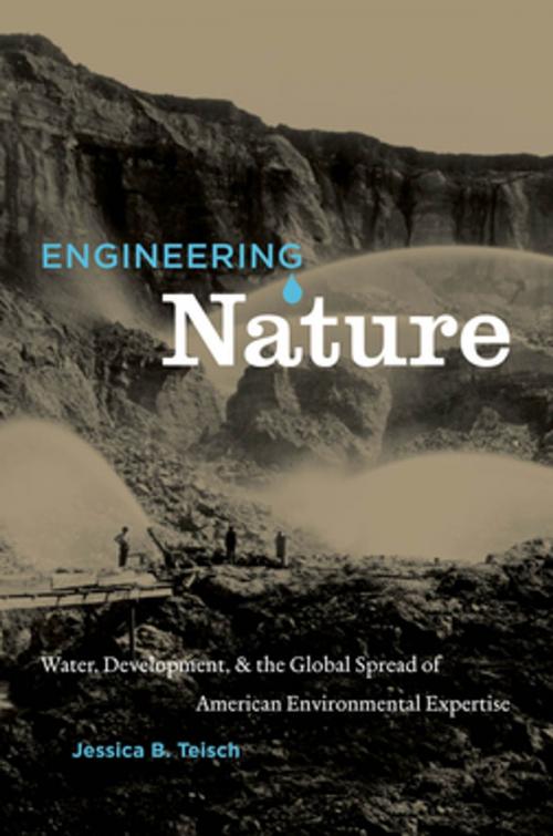 Cover of the book Engineering Nature by Jessica B. Teisch, The University of North Carolina Press