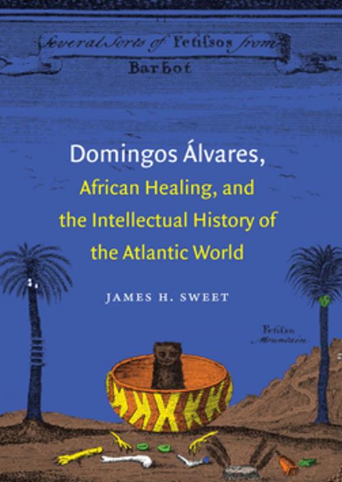 Cover of the book Domingos Álvares, African Healing, and the Intellectual History of the Atlantic World by James H. Sweet, The University of North Carolina Press