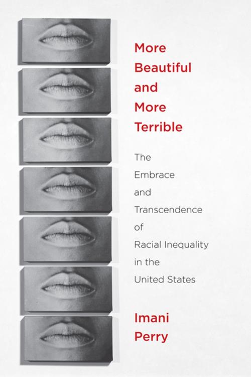 Cover of the book More Beautiful and More Terrible by Imani Perry, NYU Press