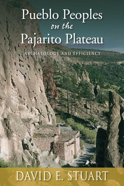 Cover of the book Pueblo Peoples on the Pajarito Plateau: Archaeology and Efficiency by David E. Stuart, University of New Mexico Press