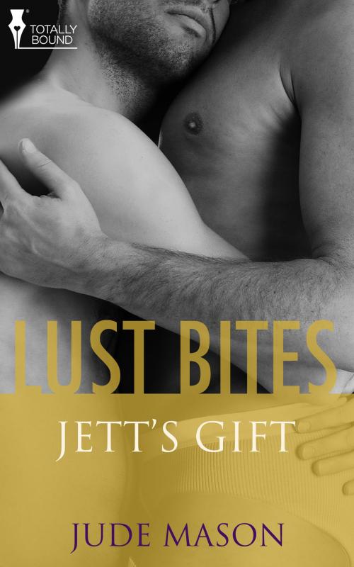 Cover of the book Jett's Gift by Jude Mason, Totally Entwined Group Ltd