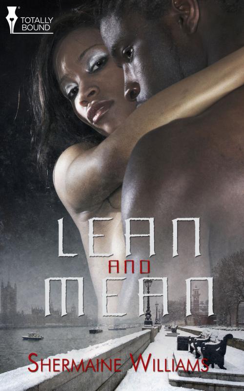 Cover of the book Lean and Mean by Shermaine Williams, Totally Entwined Group Ltd