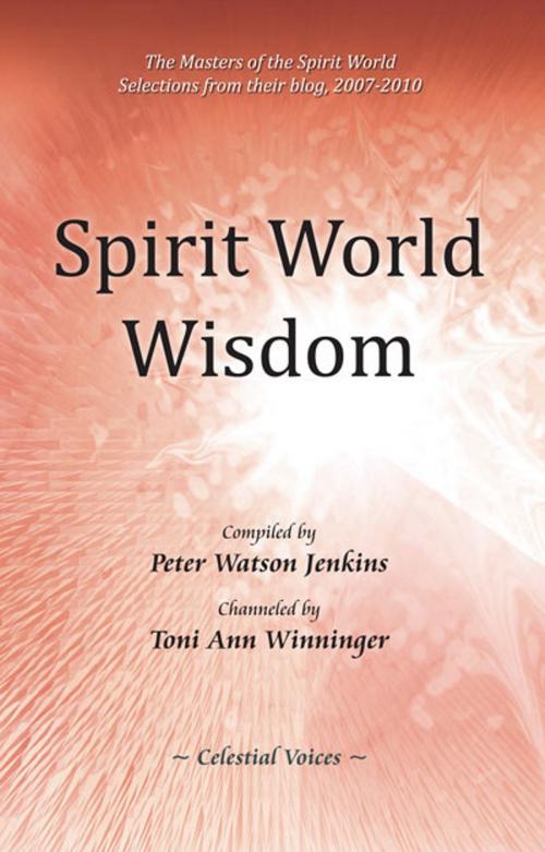 Cover of the book Spirit World Wisdom by Toni Ann Winninger, Toni Ann Winninger