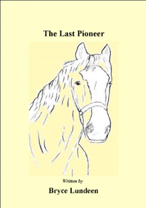 Cover of the book The Last Pioneer by Bryce Lundeen, Bryce Lundeen