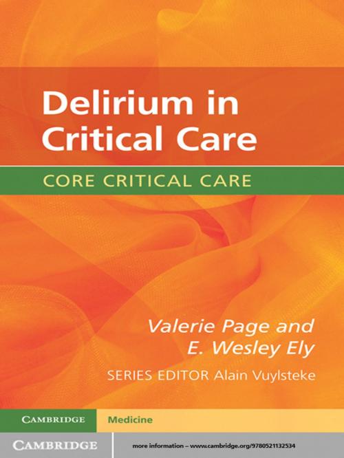 Cover of the book Delirium in Critical Care by Valerie Page, E. Wesley Ely, Cambridge University Press
