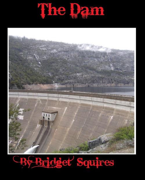 Cover of the book The Dam by Bridget Squires, Bridget Squires