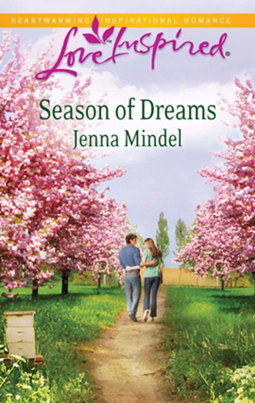 Cover of the book Season of Dreams by Jenna Mindel, Steeple Hill