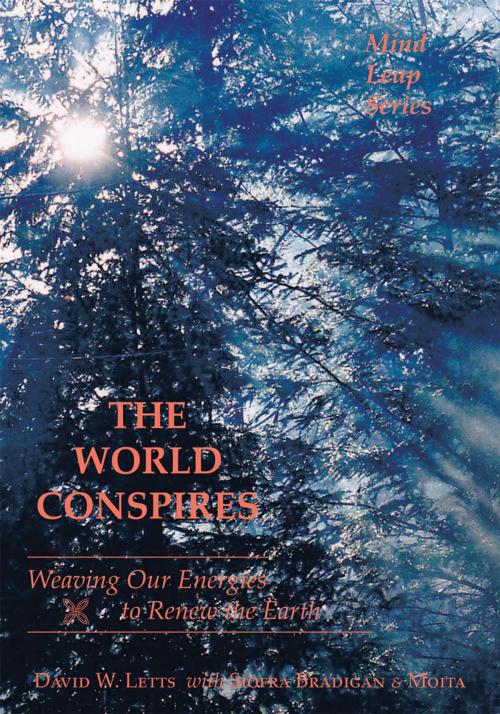 Cover of the book The World Conspires by David W. Letts, Trafford Publishing