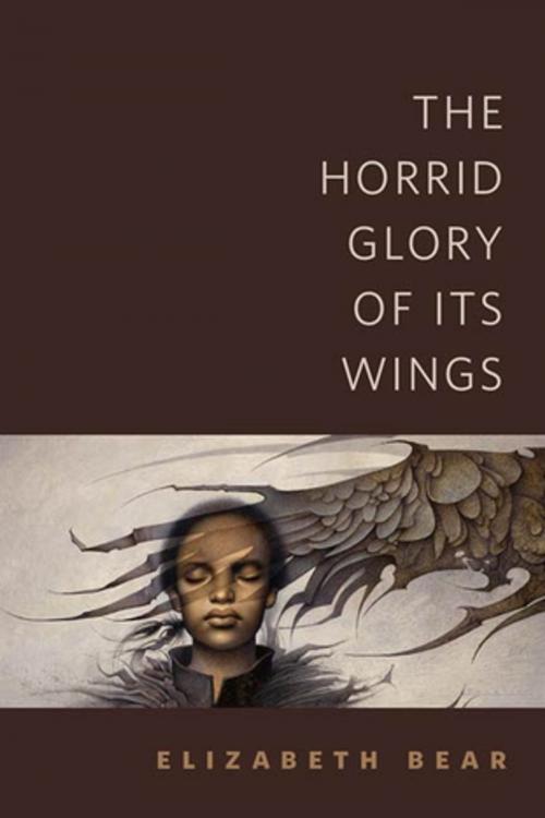 Cover of the book The Horrid Glory of Its Wings by Elizabeth Bear, Tom Doherty Associates