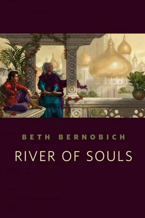 Cover of the book River of Souls by Beth Bernobich, Tom Doherty Associates