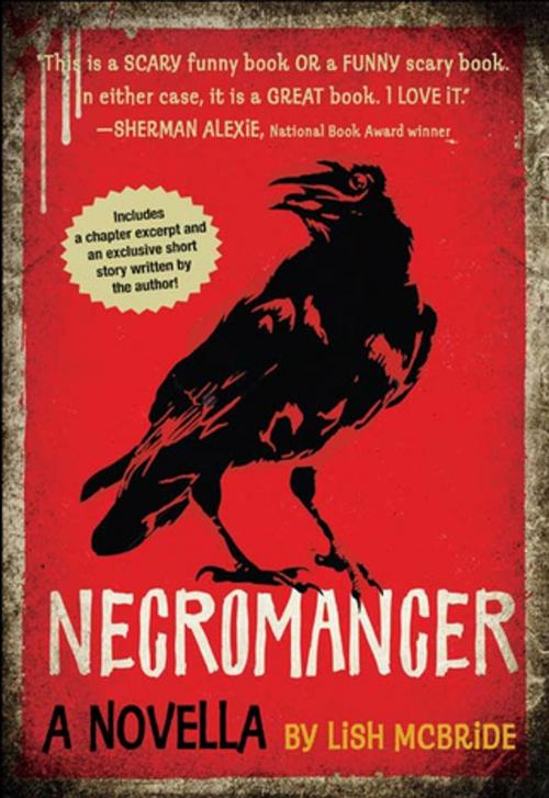 Cover of the book Necromancer by Lish McBride, Henry Holt and Co. (BYR)