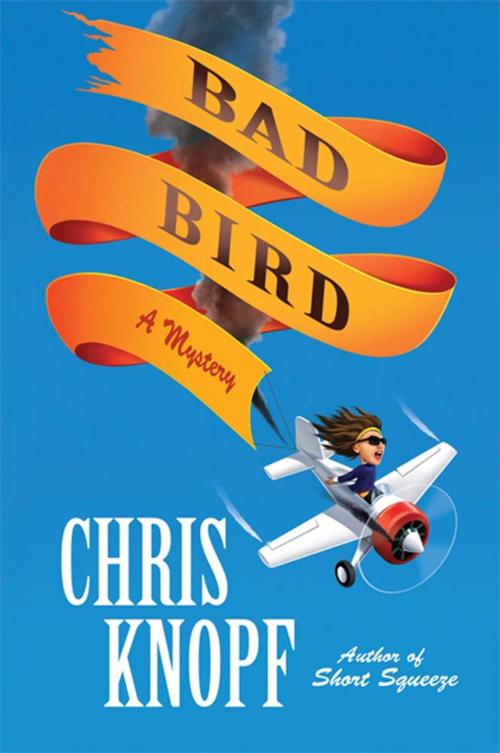 Cover of the book Bad Bird by Chris Knopf, St. Martin's Press
