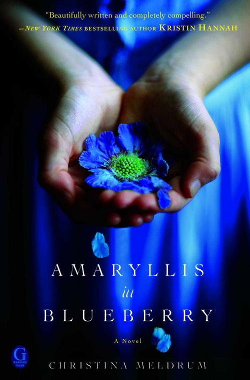 Cover of the book Amaryllis in Blueberry by Christina Meldrum, Gallery Books