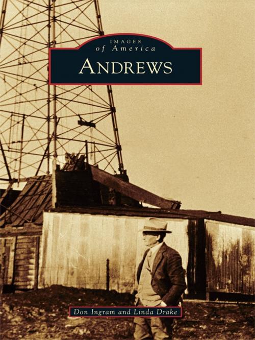 Cover of the book Andrews by Don Ingram, Linda Drake, Arcadia Publishing Inc.