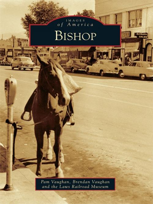 Cover of the book Bishop by Pam Vaughan, Brendan Vaughan, Laws Railroad Museum, Arcadia Publishing Inc.