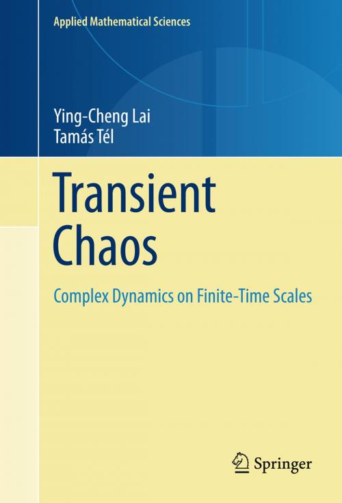 Cover of the book Transient Chaos by Ying-Cheng Lai, Tamás Tél, Springer New York