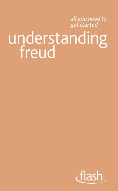 Cover of the book Understanding Freud: Flash by Ruth Snowden, John Murray Press