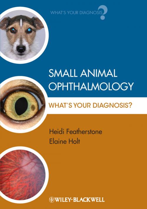 Cover of the book Small Animal Ophthalmology by Heidi Featherstone, Elaine Holt, Wiley