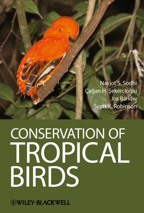 Cover of the book Conservation of Tropical Birds by Jos Barlow, Navjot S. Sodhi, Cagan H. Sekercioglu, Scott K. Robinson, Wiley