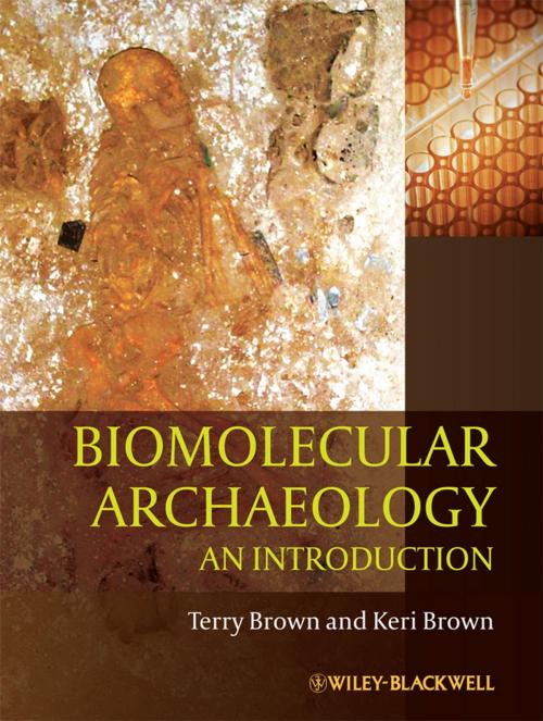 Cover of the book Biomolecular Archaeology by T. A. Brown, Keri Brown, Wiley