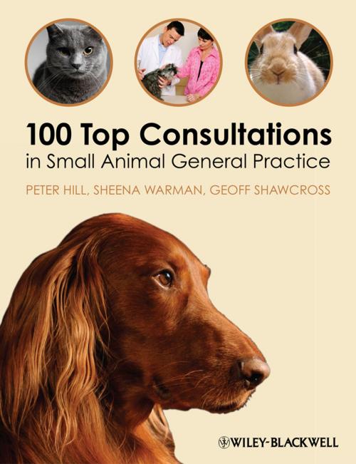 Cover of the book 100 Top Consultations in Small Animal General Practice by Peter Hill, Sheena Warman, Geoff Shawcross, Wiley