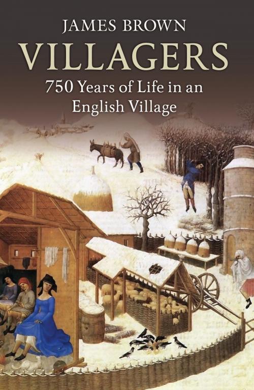 Cover of the book Villagers by James Brown, Amberley Publishing
