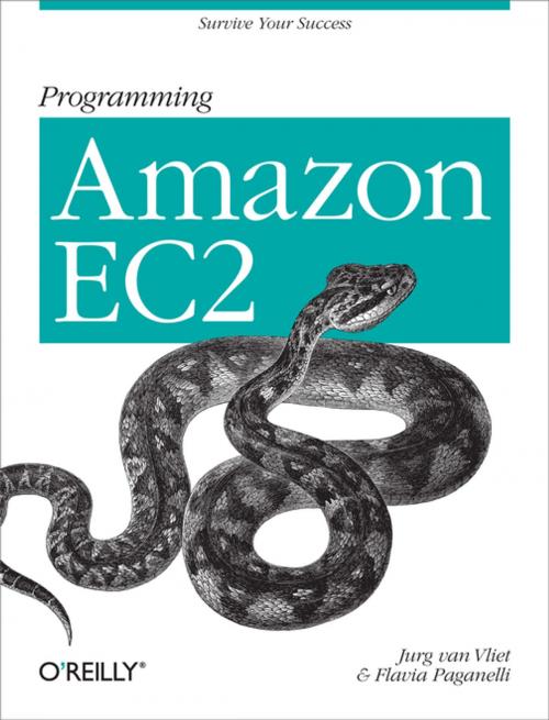 Cover of the book Programming Amazon EC2 by Jurg van Vliet, Flavia Paganelli, O'Reilly Media