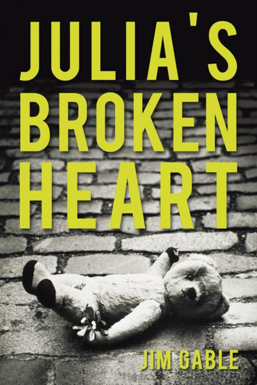 Cover of the book Julia's Broken Heart by Jim Gable, iUniverse