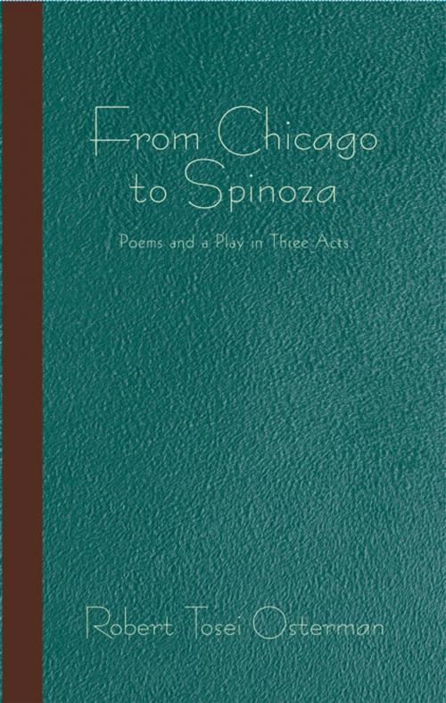 Cover of the book From Chicago to Spinoza by Robert Tosei Osterman, iUniverse
