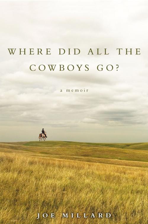 Cover of the book Where Did All the Cowboys Go? by Joe Millard, iUniverse