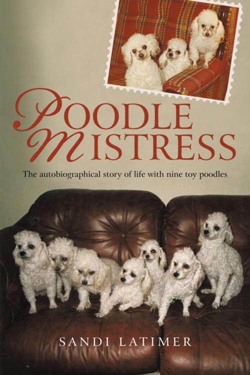 Cover of the book Poodle Mistress by Sandi Latimer, iUniverse