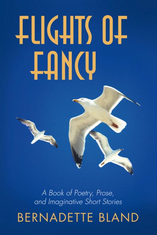 Cover of the book Flights of Fancy by Bernadette Bland, iUniverse