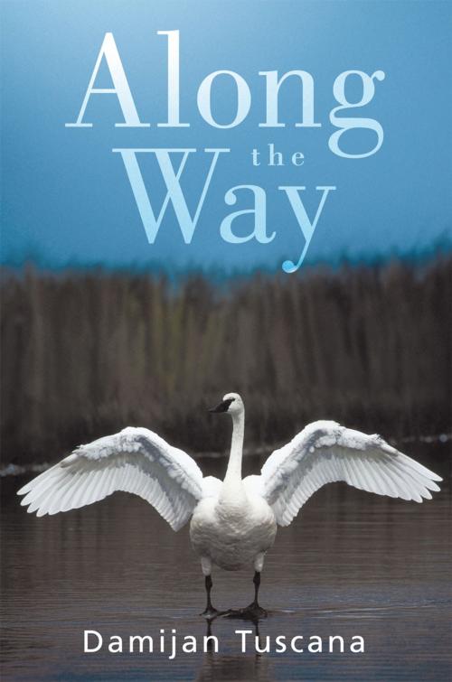Cover of the book Along the Way by Damijan Tuscana, iUniverse