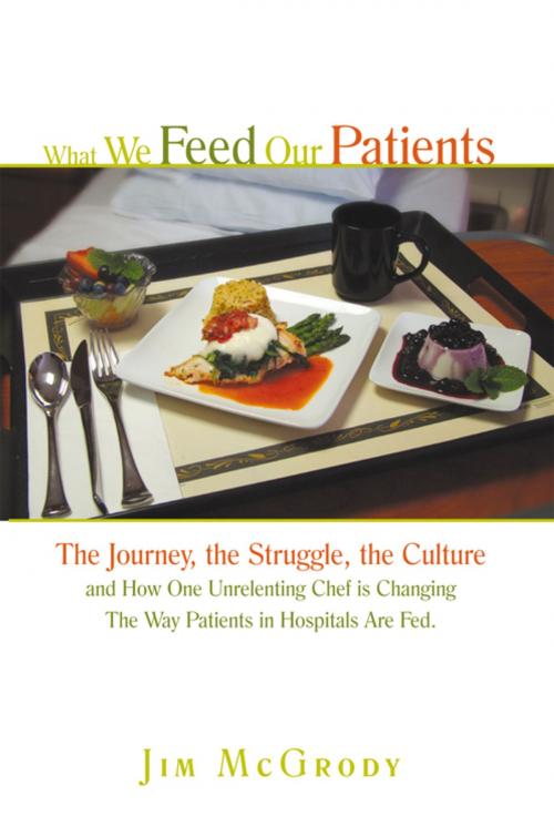 Cover of the book What We Feed Our Patients by Jim McGrody, iUniverse