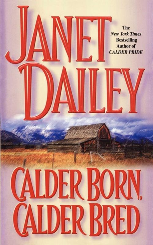 Cover of the book Calder Born, Calder Bred by Janet Dailey, Pocket Books