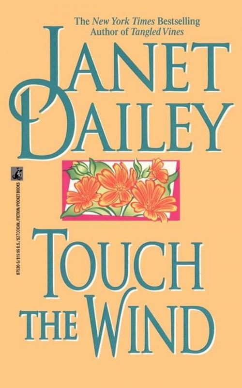 Cover of the book Touch the Wind by Janet Dailey, Pocket Books