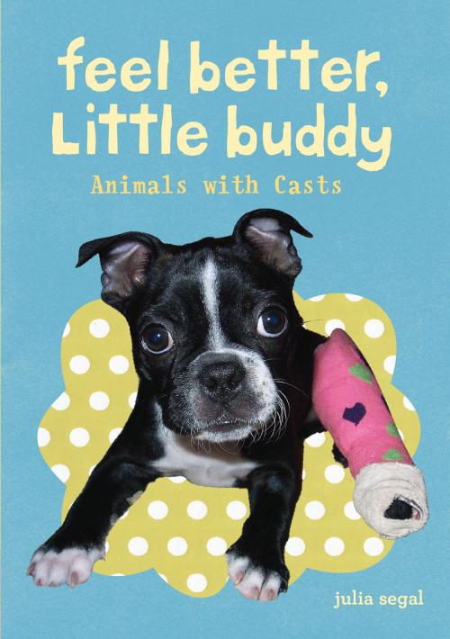 Cover of the book Feel Better Little Buddy by Julia Segal, Chronicle Books LLC