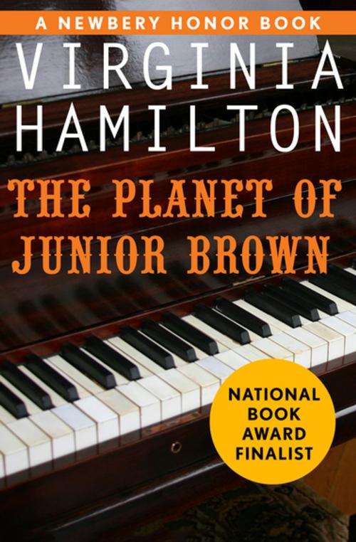 Cover of the book The Planet of Junior Brown by Virginia Hamilton, Open Road Media