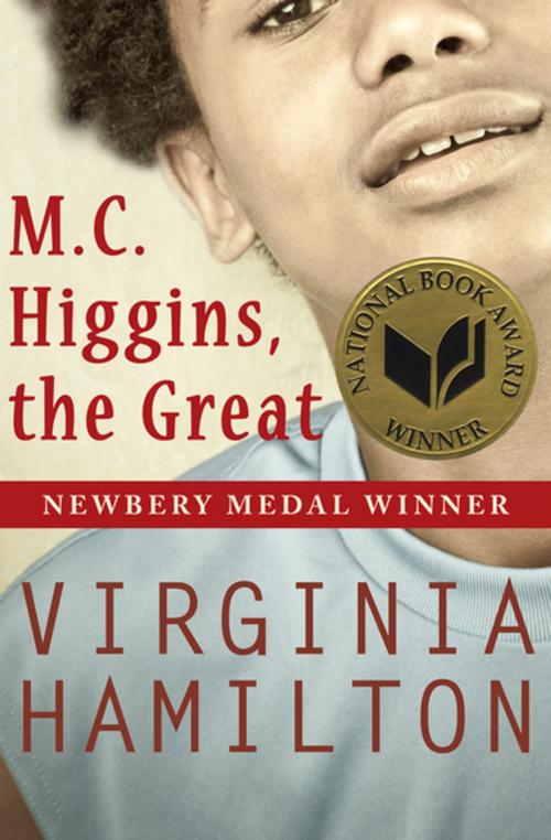 Cover of the book M.C. Higgins, the Great by Virginia Hamilton, Open Road
