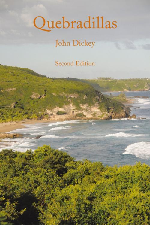 Cover of the book Quebradillas by John Dickey, AuthorHouse