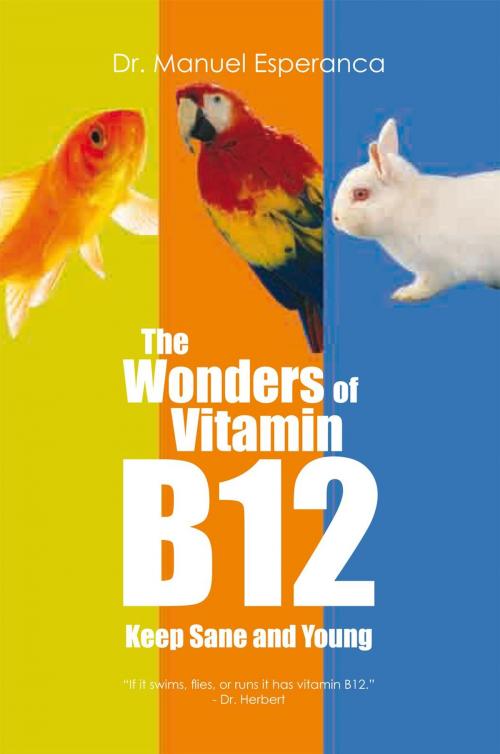 Cover of the book The Wonders of Vitamin B12 by Dr. Manuel Esperanca, Xlibris US