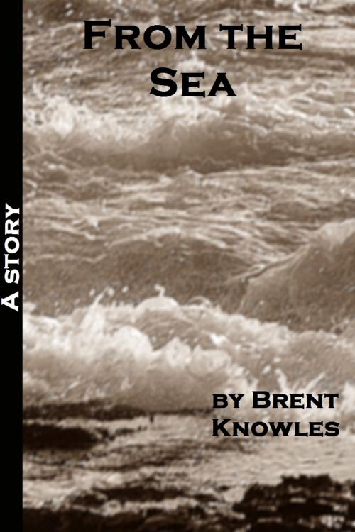 Cover of the book From the Sea by Brent Knowles, Brent Knowles