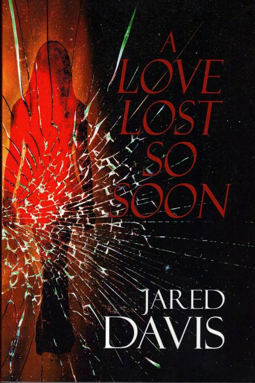 Cover of the book A Love Lost So Soon by Jared Davis, Jared Davis
